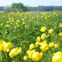 camping-bereg-maloe-ukleyno-tdikz