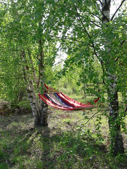 camping-bereg-maloe-ukleyno-zgjui