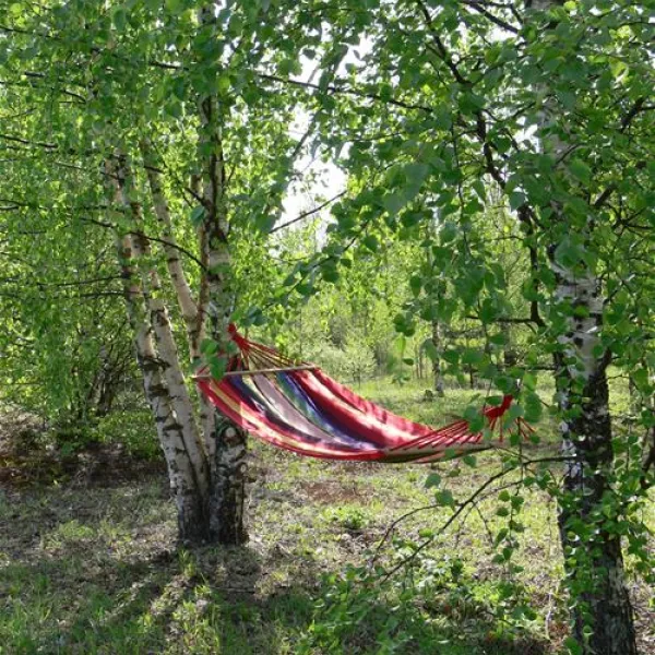camping-bereg-maloe-ukleyno-zgjui
