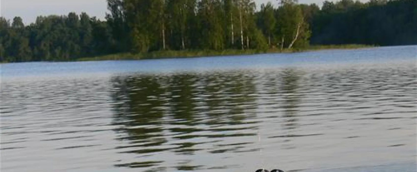 Camping Bereg