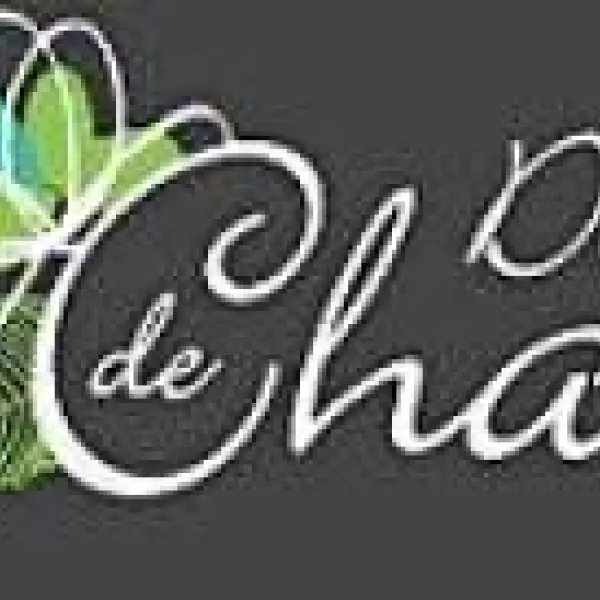 camping-le-domaine-de-champ-vosges-frifz