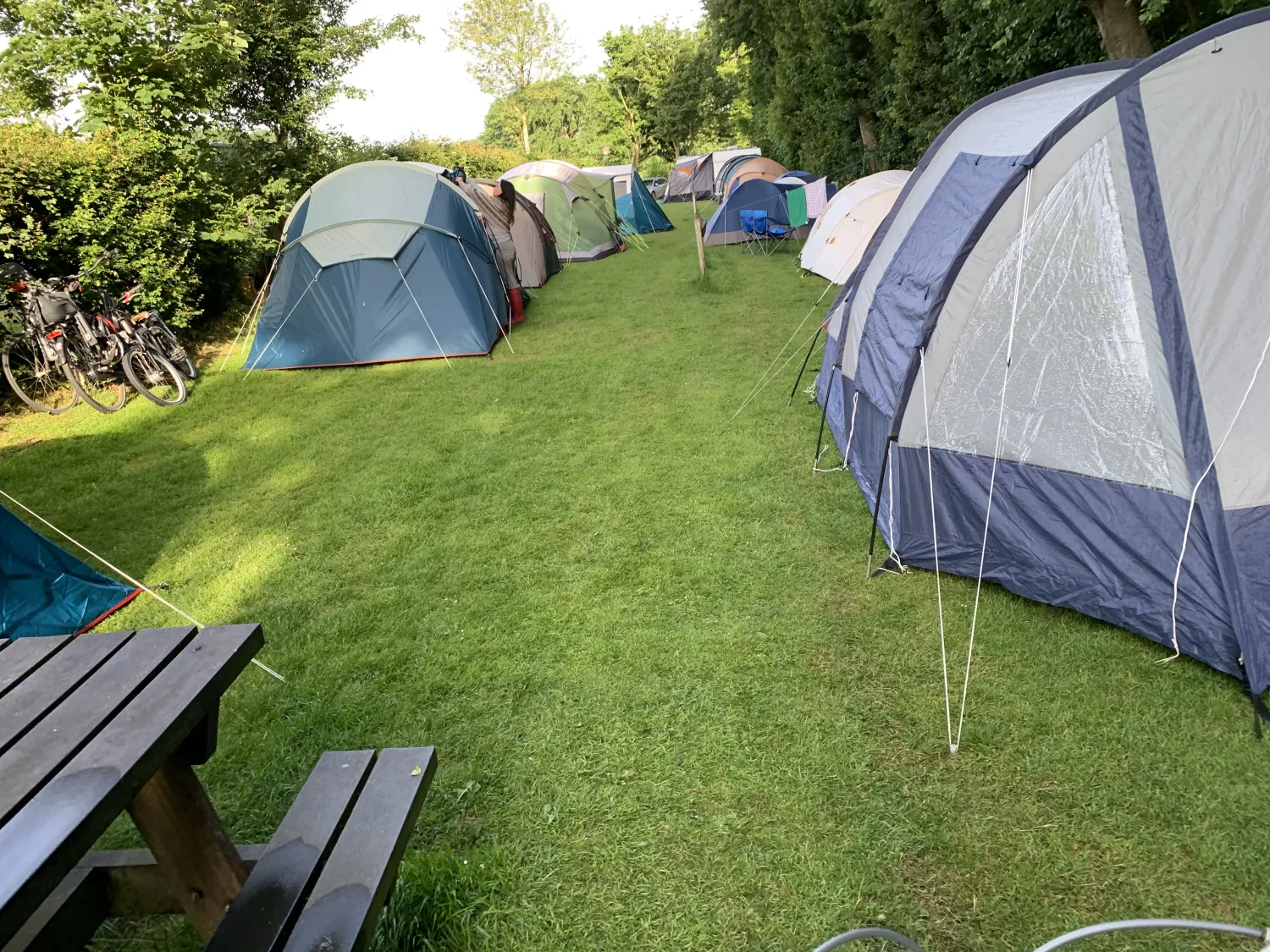 camping-alkmaar-alkmaar-nwjic
