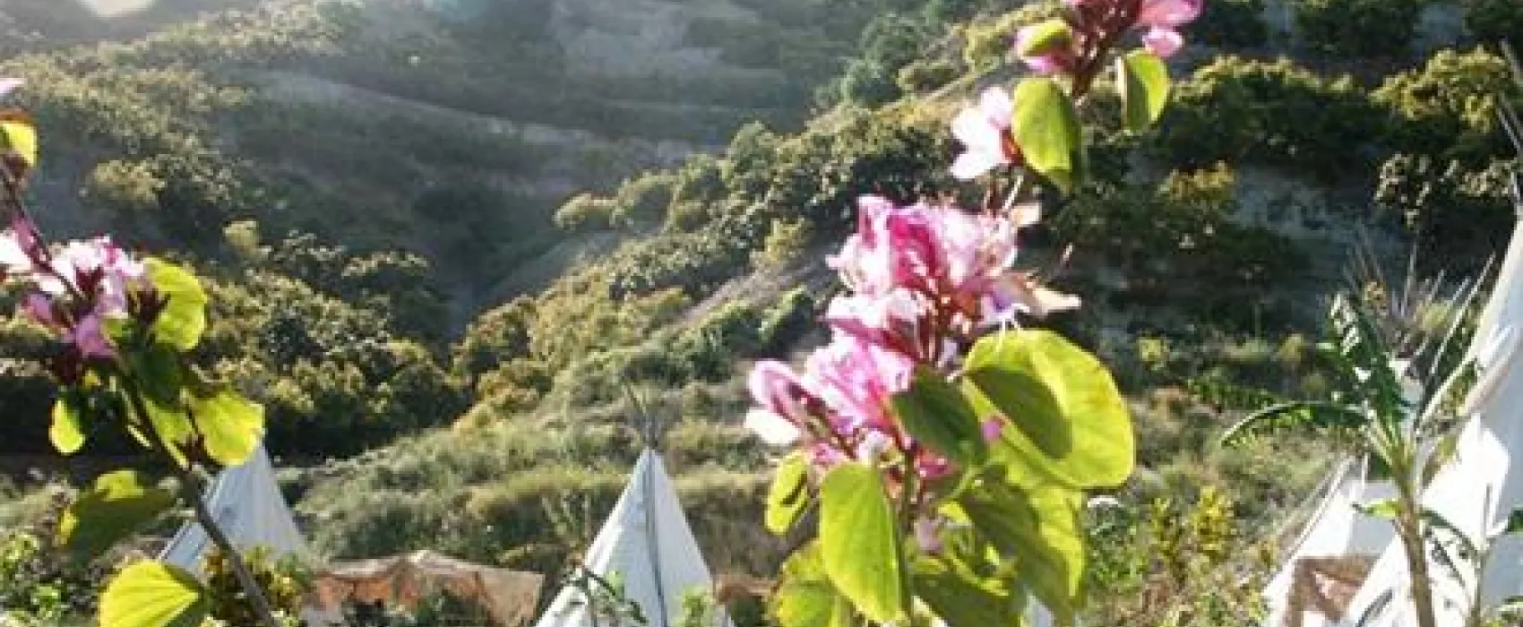 Camping Isicola