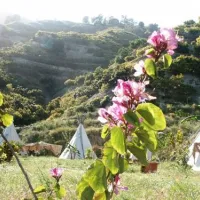 camping-isicola-almuecar-dkdgb
