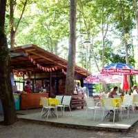 camping-belocrkvanska-jezera-bela-crkva-bela-crkva-vbrmw
