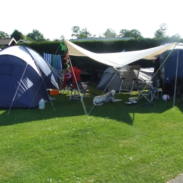 camping-de-carlton-noordwijk-zh-rd8ke