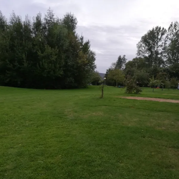 natuurkampeerterrein-de-kamperhoek-vogelwaarde-lgbb1