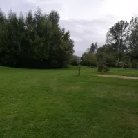 natuurkampeerterrein-de-kamperhoek-vogelwaarde-lgbb1