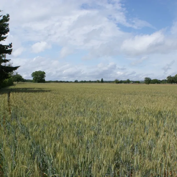 camping-le-bel-air-louviers-mmj39