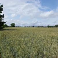 camping-le-bel-air-louviers-mmj39