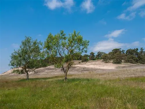 camping-am-wiesengrund-malli-bei-ludwigslust-ckc6o