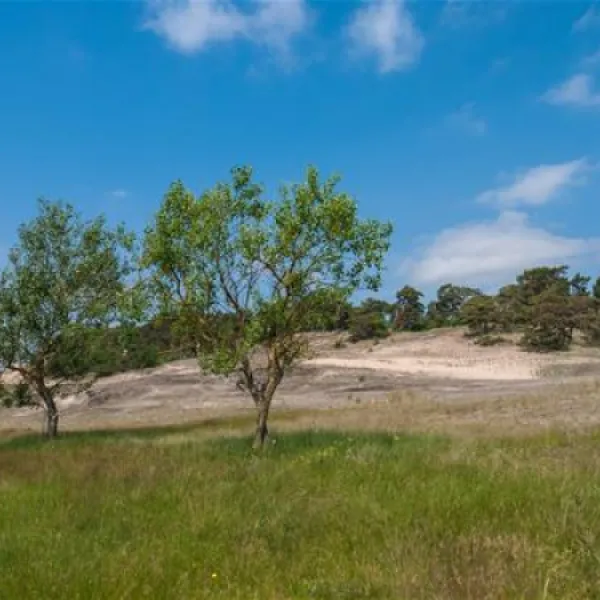 camping-am-wiesengrund-malli-bei-ludwigslust-ckc6o