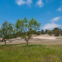 camping-am-wiesengrund-malli-bei-ludwigslust-ckc6o