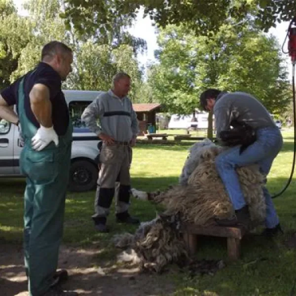 camping-am-wiesengrund-malli-bei-ludwigslust-mmpvy