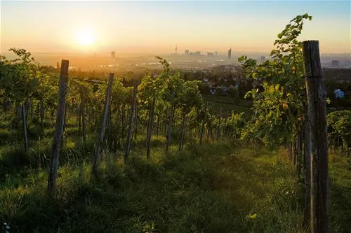 donaupark-camping-klosterneuburg-klosterneuburg-2j6ts