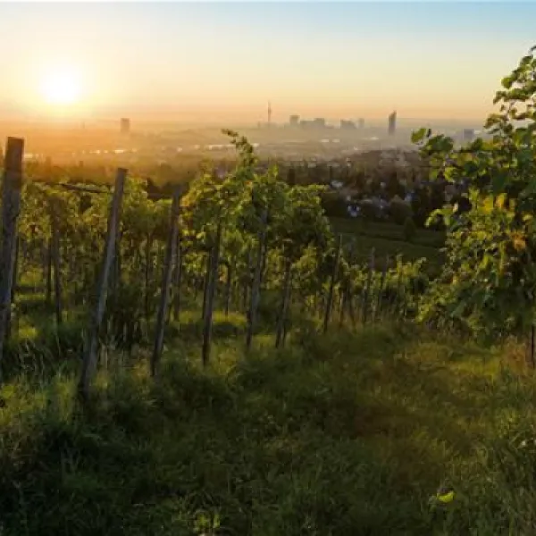 donaupark-camping-klosterneuburg-klosterneuburg-2j6ts