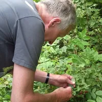 camping-sonnenberg-mdenrtze-0huti