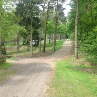 camping-sonnenberg-mdenrtze-fgz07