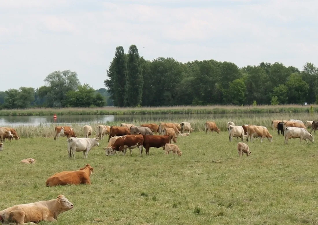campingplatz-an-der-havel-ketzin-b2f9u