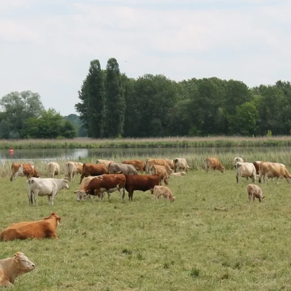 campingplatz-an-der-havel-ketzin-b2f9u