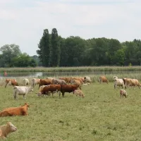 campingplatz-an-der-havel-ketzin-b2f9u