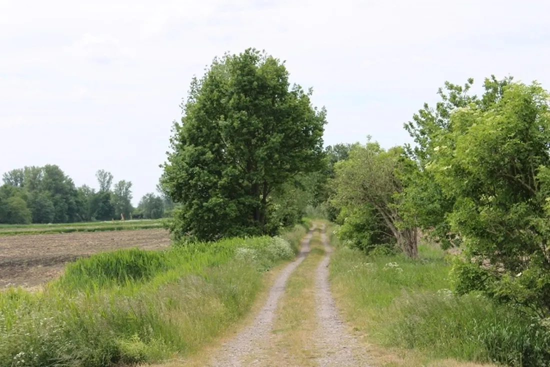 campingplatz-an-der-havel-ketzin-gx8ca