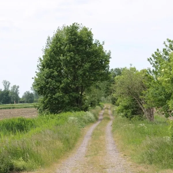 campingplatz-an-der-havel-ketzin-gx8ca