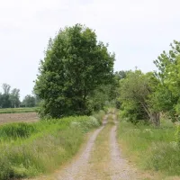 campingplatz-an-der-havel-ketzin-gx8ca