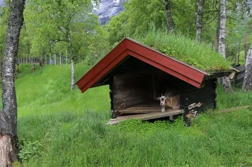 trollveggen-camping-ndalsnes-wokjh