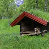 Trollveggen Camping