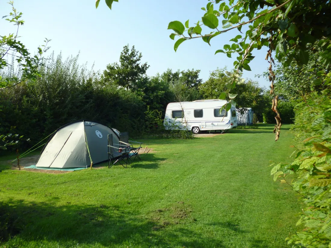 camping-de-boshoorn-serooskerke-mfdqj