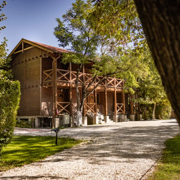 arena-camping-guesthouse-budapest-budapest-7lrdh