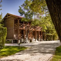 arena-camping-guesthouse-budapest-budapest-7lrdh