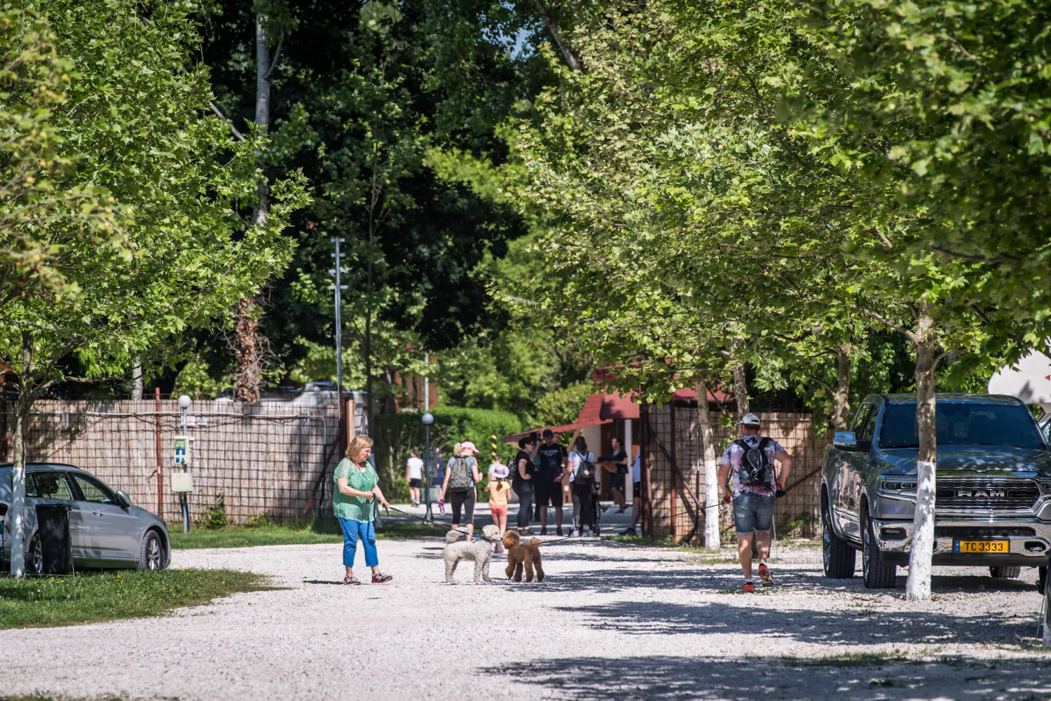 arena-camping-guesthouse-budapest-budapest-bqt2w