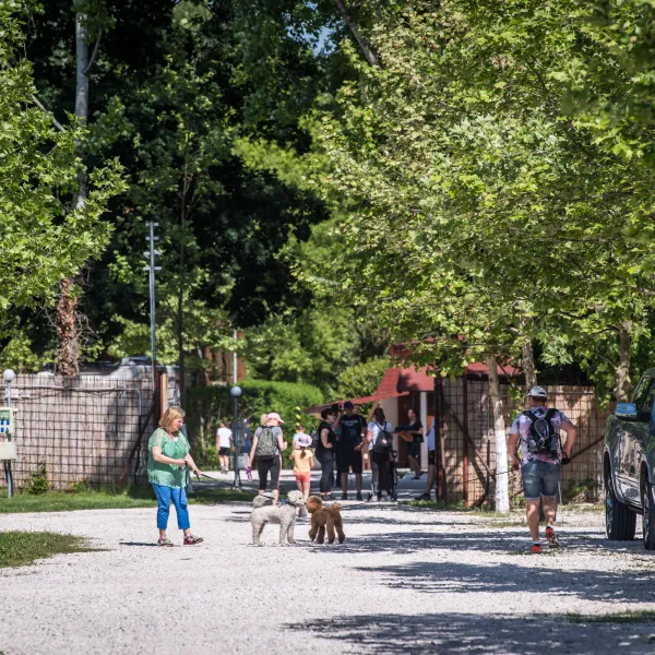 arena-camping-guesthouse-budapest-budapest-bqt2w