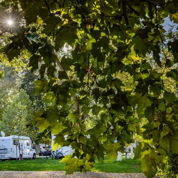 arena-camping-guesthouse-budapest-budapest-fd2if
