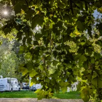arena-camping-guesthouse-budapest-budapest-fd2if