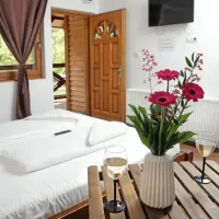 arena-camping-guesthouse-budapest-budapest-mypfu