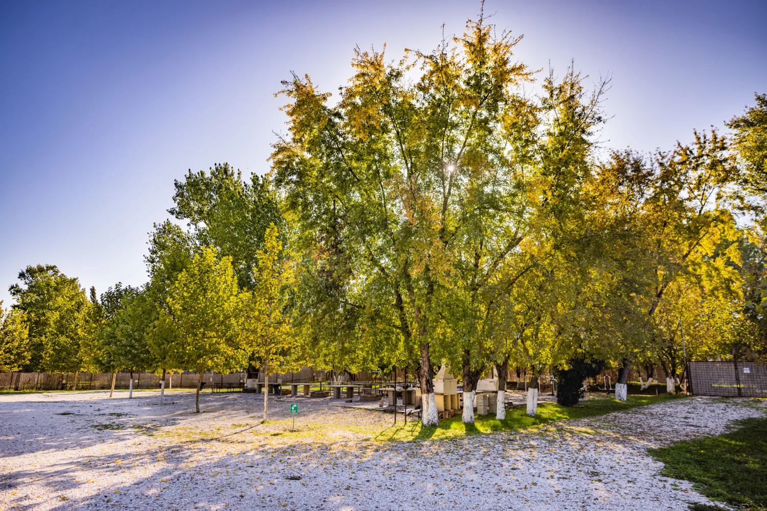 arena-camping-guesthouse-budapest-budapest-oyizi