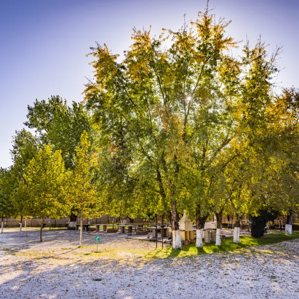 arena-camping-guesthouse-budapest-budapest-oyizi