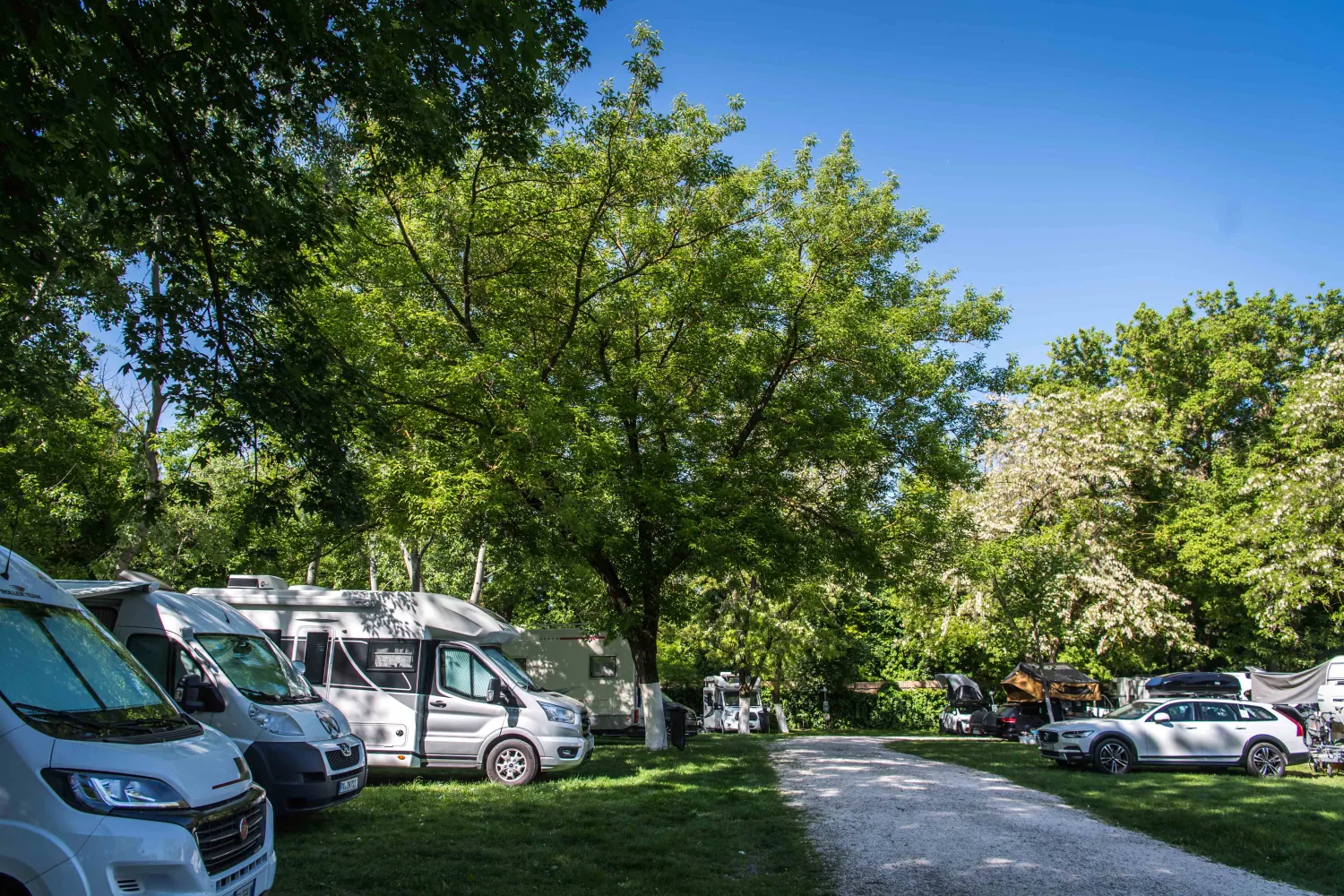 arena-camping-guesthouse-budapest-budapest-qeddc