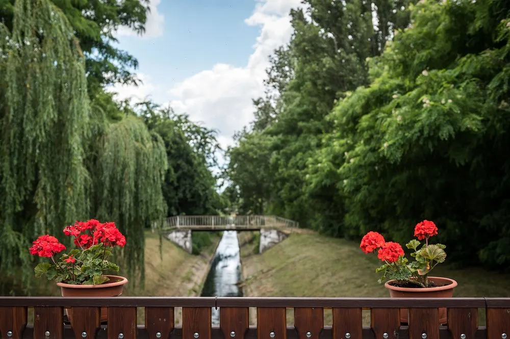 arena-camping-guesthouse-budapest-budapest-rsgzj