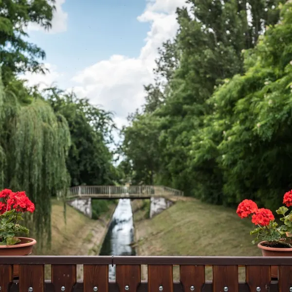 arena-camping-guesthouse-budapest-budapest-rsgzj