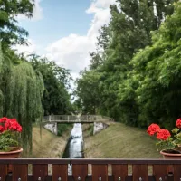 arena-camping-guesthouse-budapest-budapest-rsgzj