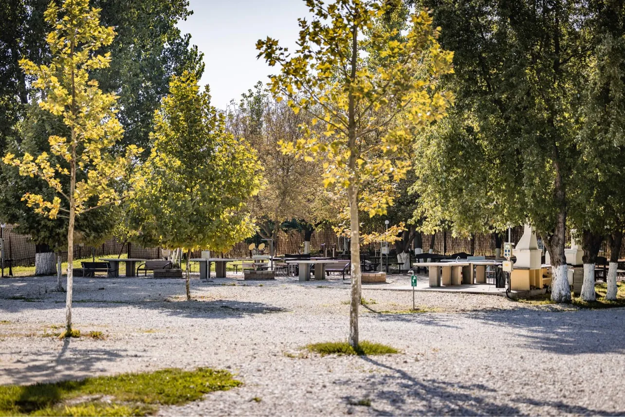 arena-camping-guesthouse-budapest-budapest-tazhf