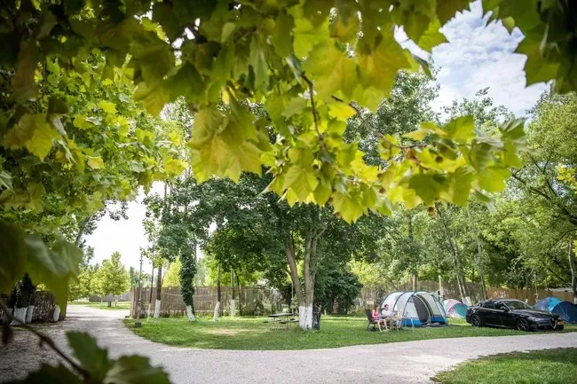 arena-camping-guesthouse-budapest-budapest-uvptf
