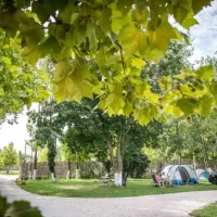 arena-camping-guesthouse-budapest-budapest-uvptf