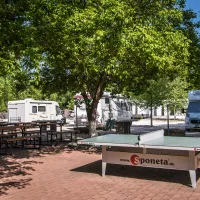 arena-camping-guesthouse-budapest-budapest-xtrpq
