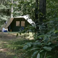 camping-het-horstmannsbos-gasselte-s5mfx