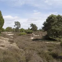 camping-het-horstmannsbos-gasselte-wbod7